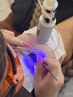 ★お試し価格★　LEDマツエク　フラットラッシュ120本