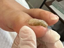 ネイルサロンアンドスクール ペルシャ(Persia)