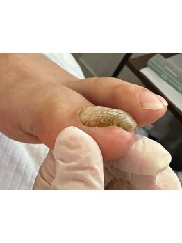 初めての方にオススメ