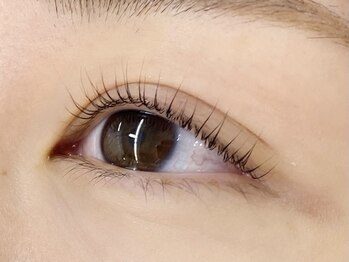 キャリコ(calico)/