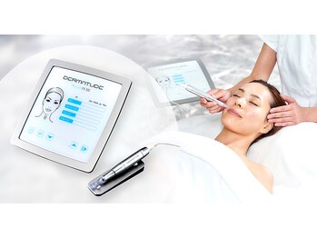 アルセ/北陸最安値★実年齢×0.8歳