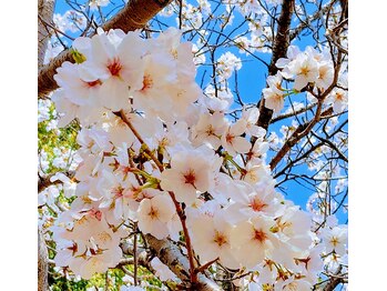 リラクゼーション整体 りめいく/デコルテ コース