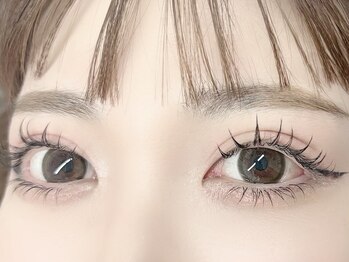 エステ屋/上 アンドヘルシー+下エクステ