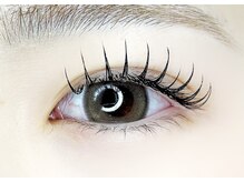 アトラ(Attra)/フラットラッシュ130本