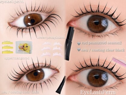 エアーアイラッシュ(#AIR EYELASH)の写真