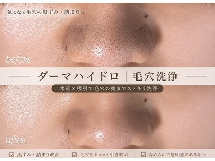 イロドリ(IRODORI)の写真