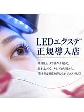 ラズベリー ベレー(Raspberry Beret)/最新【LEDエクステ】正規導入店