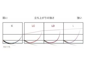 テトテ ビューティーラボ アイラッシュ(tetote beauty Labo)/毛先の丸みが仕上がり感も変わる