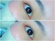ポピー(POPPY)の写真