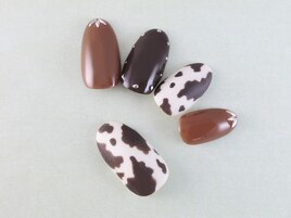 ジェル付け放題 パラジェル取扱