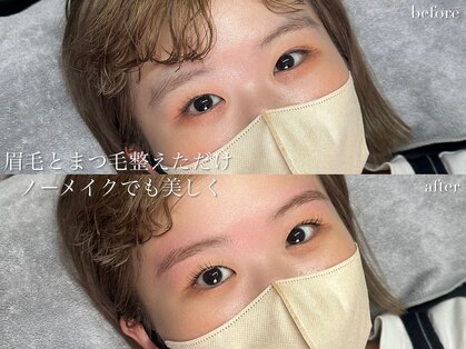 ニコ(Nico)の写真
