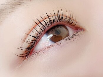 アイラッシュ コペル 中目黒(eyelash Copel)の写真/【キープ力◎/自まつげに優しい】大人気*次世代まつげパーマ[ラッシュリフト]トリートメント付¥6200→¥5500