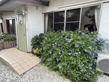 宮脇施術院/院前風景