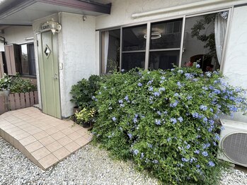 宮脇施術院/院前風景