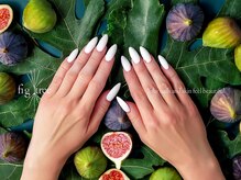 フィグ ツリー(fig tree)