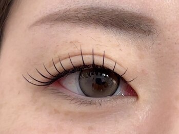 ファルコ(Falco)の写真/話題のアンドヘルシー/LED取り扱い☆経験豊富な熟練アイリストが目元や雰囲気に合わせたデザインをご提案♪