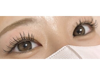 ダリア(Dahlia)/フラット１００本★