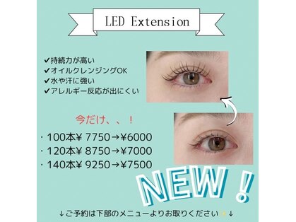 ジョジョ 本店(JOJO)の写真
