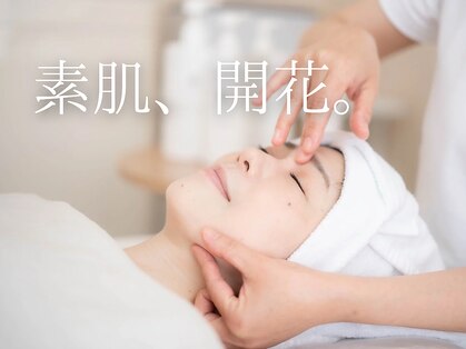 ミーツ(Meets)の写真