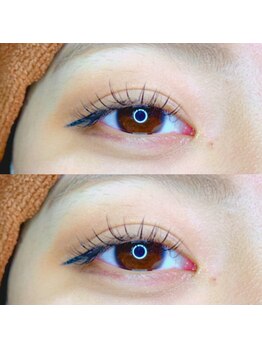 アルピナ アイラッシュ(alpina eyelash)/自然な目元に♪100本コ-ス