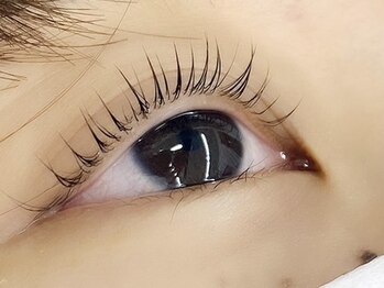 キャリコ(calico)/