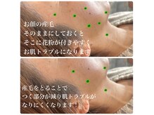 カランコエ(Kalanchoe)の雰囲気（花粉の前にお顔の産毛を処理で今年の花粉を軽減しましょう！）