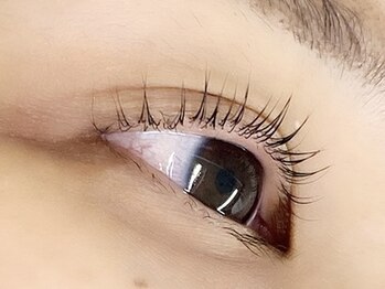 キャリコ(calico)/