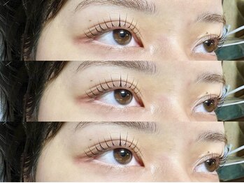 サルサグレイス 木更津店(SALSA GRACE)/ラッシュリフト