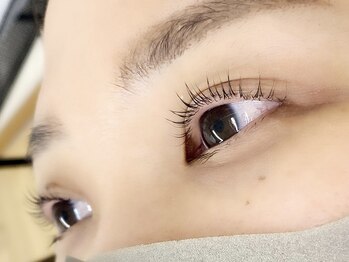 キャリコ(calico)/