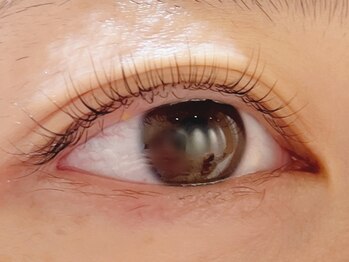 カラン 焼津店(CALIN)/ラスティングカール