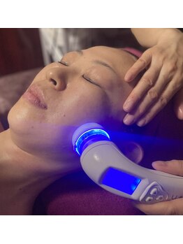 プラチナローズ(Platinum Rose)/Wishpro(ウィッシュプロ)