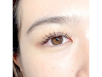 シュエール(Chuaile)/フラットラッシュ120本