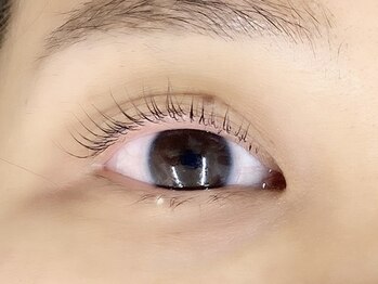 キャリコ(calico)/