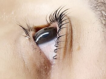 キャリコ(calico)/