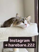 晴々/Instagramフォローお願いします