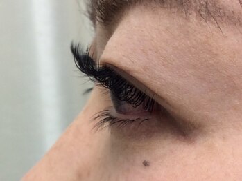 シュシュ(chou chou)/セーブル160本/下まつ毛40本