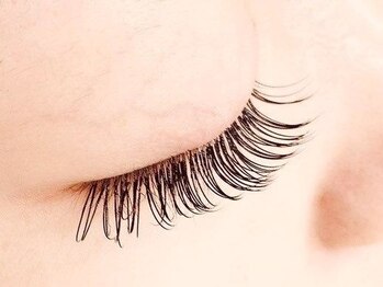 ラブリエ(LaBriller)/最高級セーブル