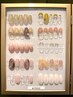 上品デザイン　定額7500円コース