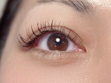 ネリネ(Nerine)/フラットマットラッシュ