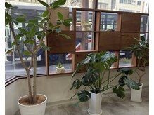 ワイズカラー(Yi's color)/長く通われる方が多いサロン