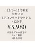 《12/2～12/5限定先着15名》LEDフラットラッシュ120本までなら何本でも¥5,980