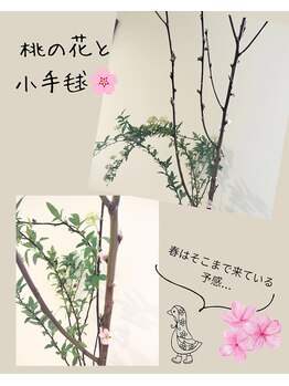 トイトイトイ(toitoitoi)/少しずつ…