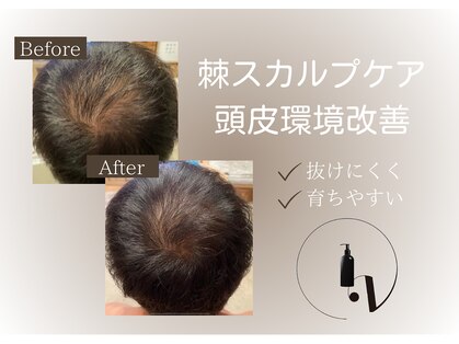 リノ(Lino)の写真