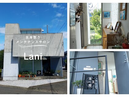 ラニ(Lani)の写真
