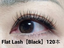 ハーゼ(Hase)/Flat Lash【Black】120本