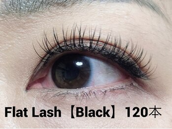 ハーゼ(Hase)/Flat Lash【Black】120本