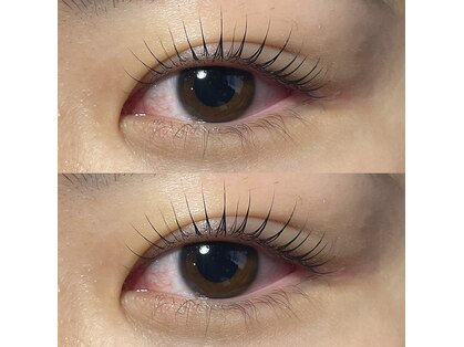 チェロ(Chelo)の写真