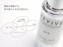 ラグーン(Lagoon)/RIVAIVEハーブ