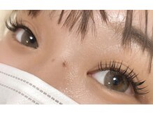 ダリア(Dahlia)/フラット１４０本★