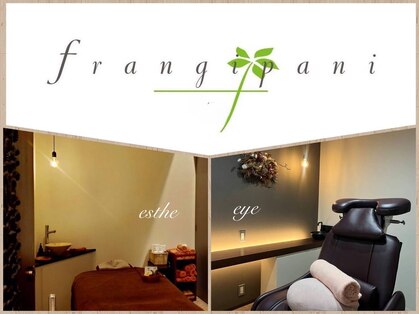 フランジパニ frangipaniの写真